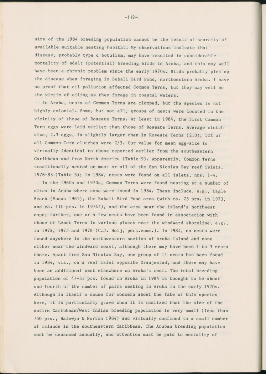 Z Report on 1984 survey of marine birds of Aruba, Netherlands Antilles - New Page
