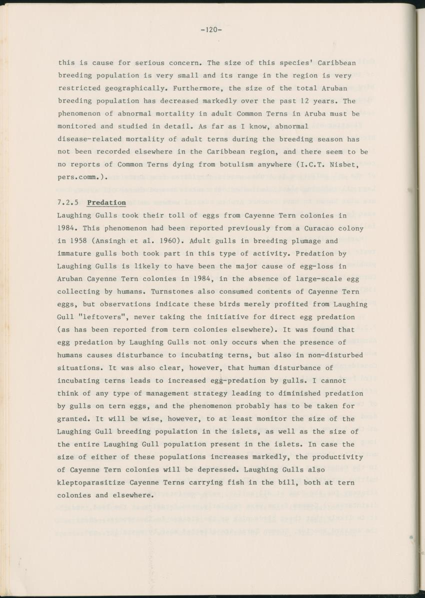 Z Report on 1984 survey of marine birds of Aruba, Netherlands Antilles - New Page