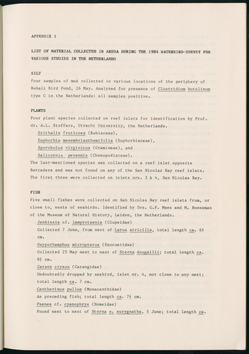 Z Report on 1984 survey of marine birds of Aruba, Netherlands Antilles - New Page