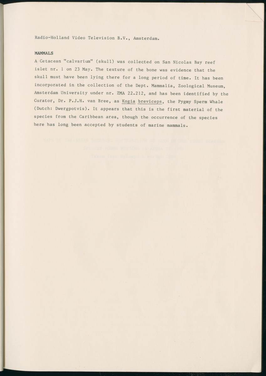 Z Report on 1984 survey of marine birds of Aruba, Netherlands Antilles - New Page