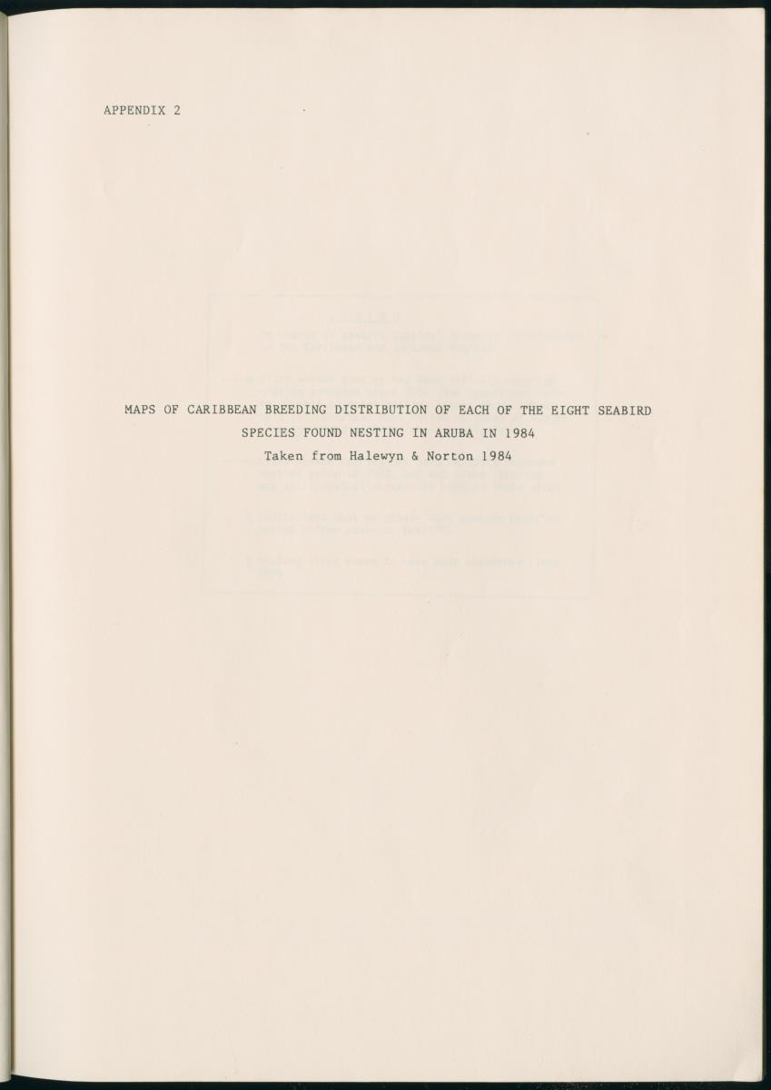 Z Report on 1984 survey of marine birds of Aruba, Netherlands Antilles - New Page