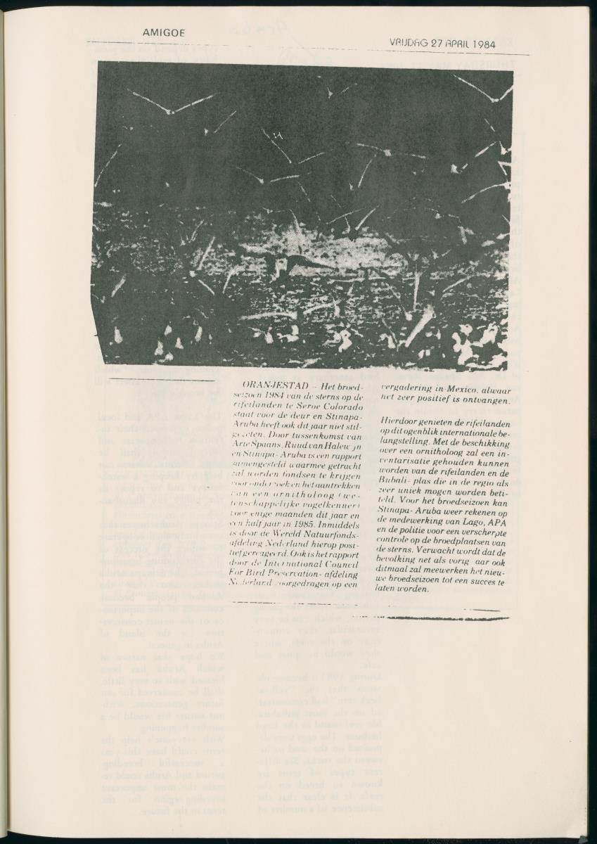 Z Report on 1984 survey of marine birds of Aruba, Netherlands Antilles - New Page