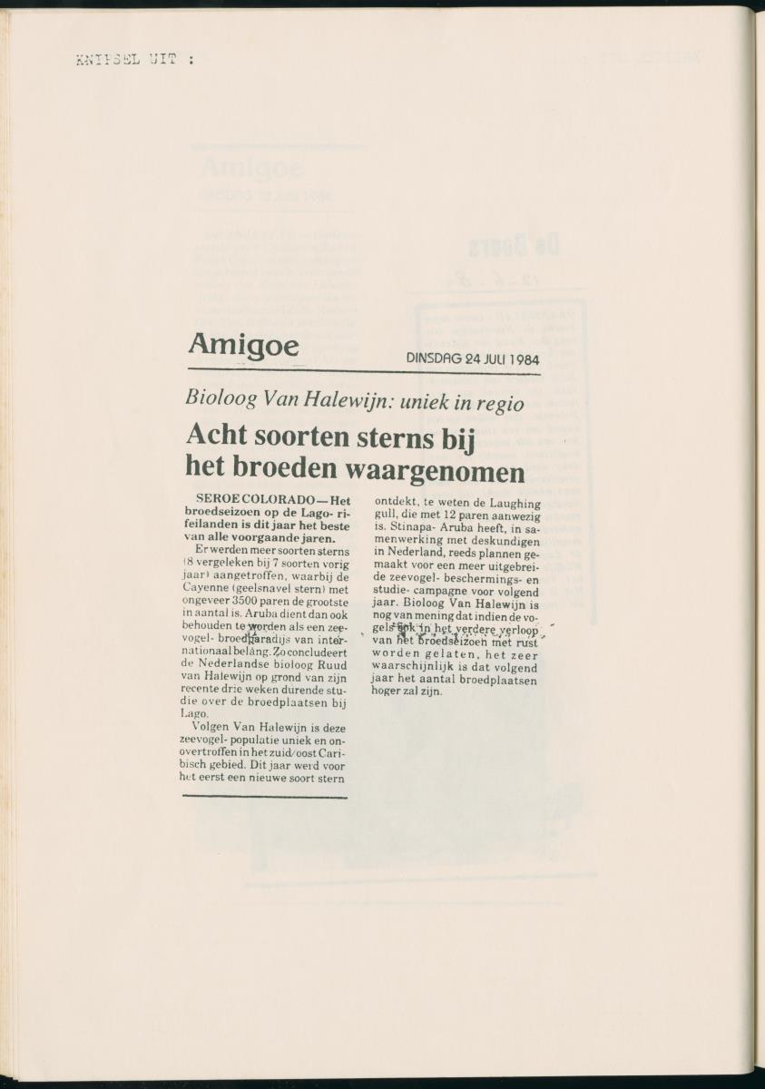 Z Report on 1984 survey of marine birds of Aruba, Netherlands Antilles - New Page