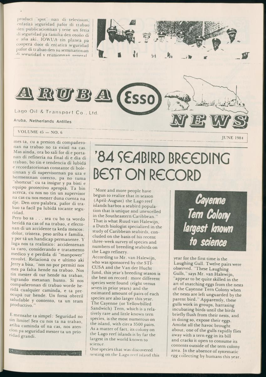 Z Report on 1984 survey of marine birds of Aruba, Netherlands Antilles - New Page