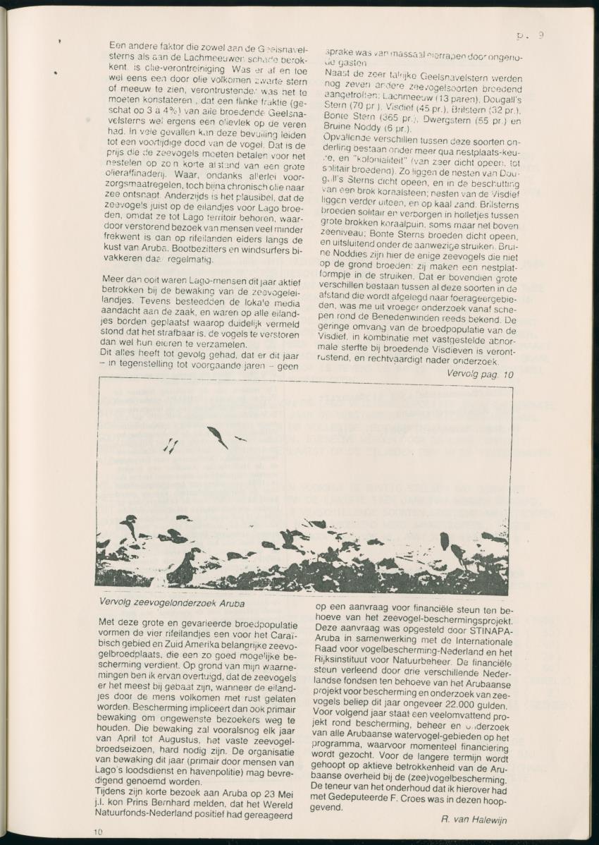 Z Report on 1984 survey of marine birds of Aruba, Netherlands Antilles - New Page