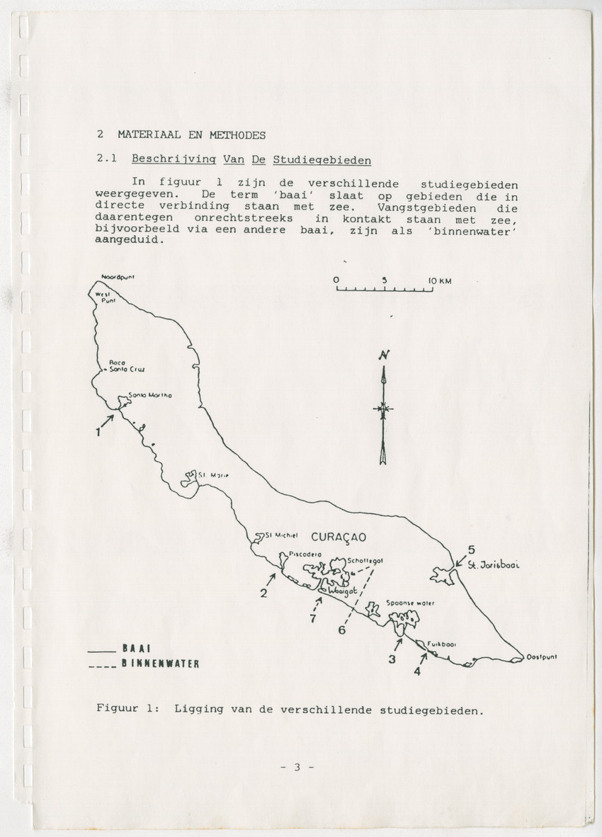 Z Verspreiding en populatiegrootte van Callinectes spp. Op Curacao - New Page