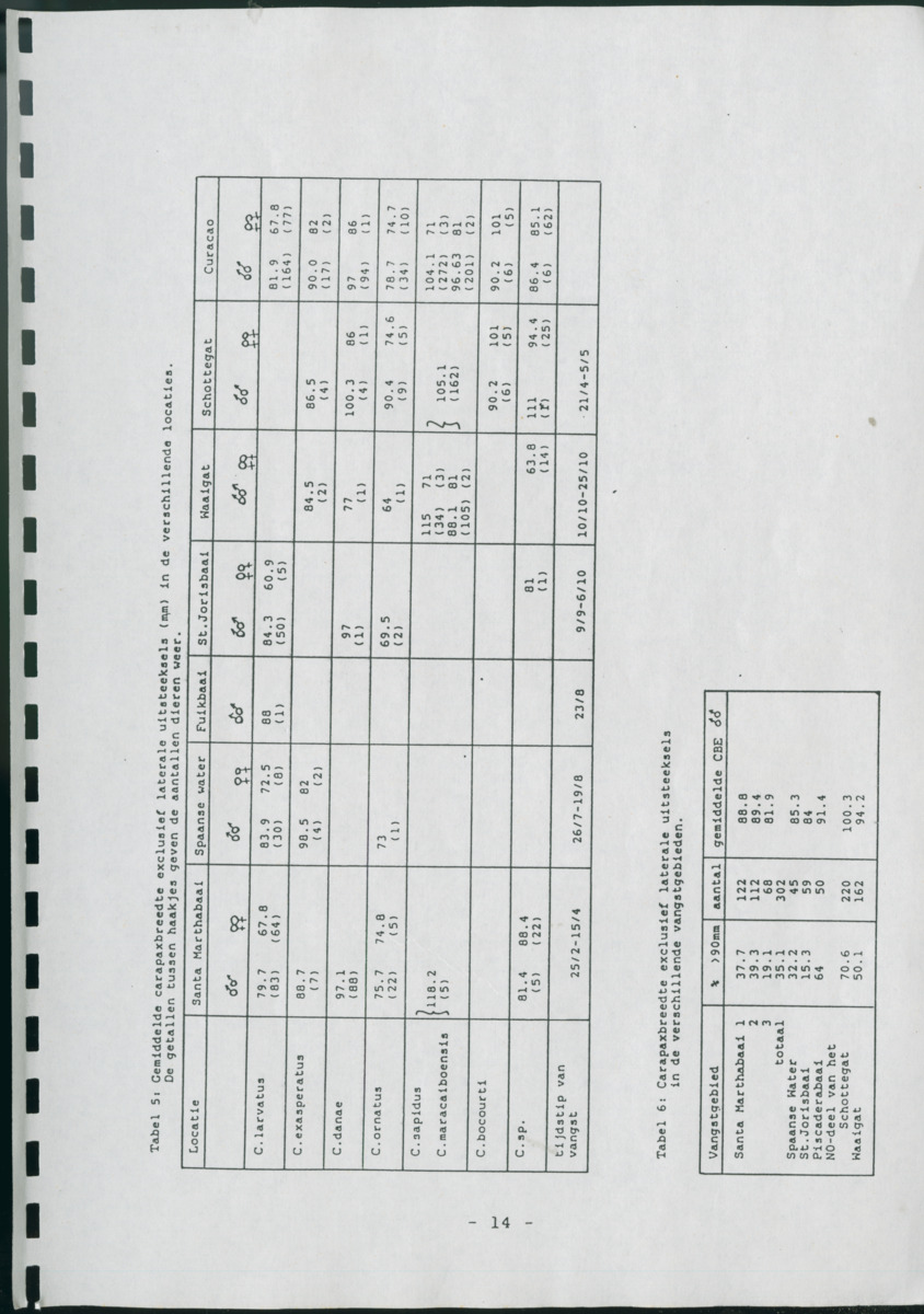 Z Verspreiding en populatiegrootte van Callinectes spp. Op Curacao - New Page
