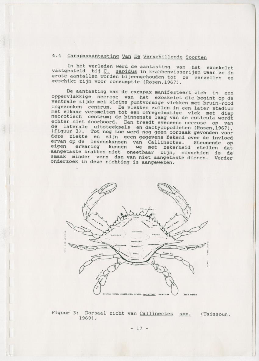 Z Verspreiding en populatiegrootte van Callinectes spp. Op Curacao - New Page