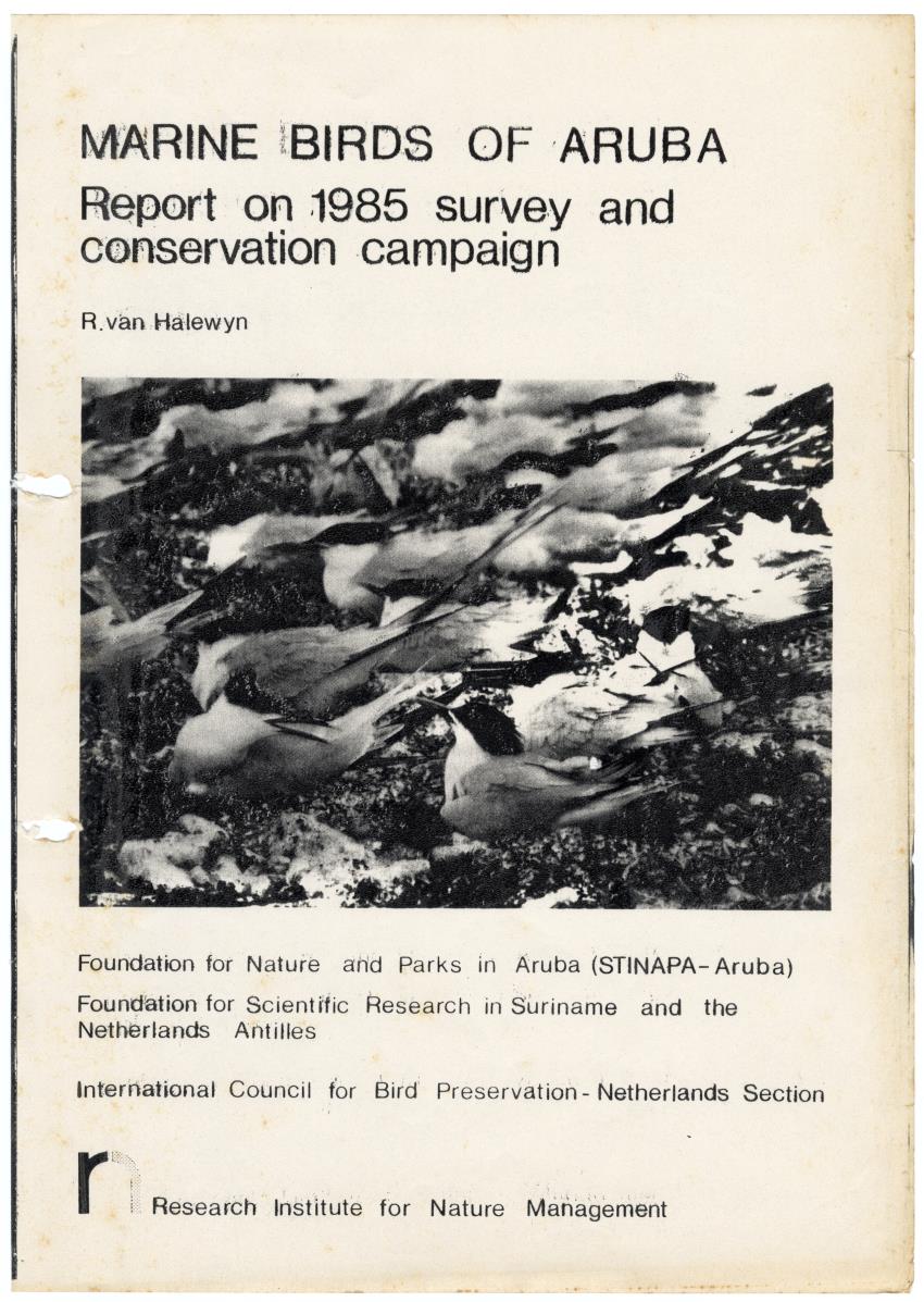 Marine birds of Aruba - Report on 1985 survey and conservation campaign - New Page