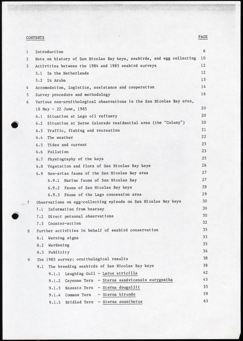 Marine birds of Aruba - Report on 1985 survey and conservation campaign - New Page