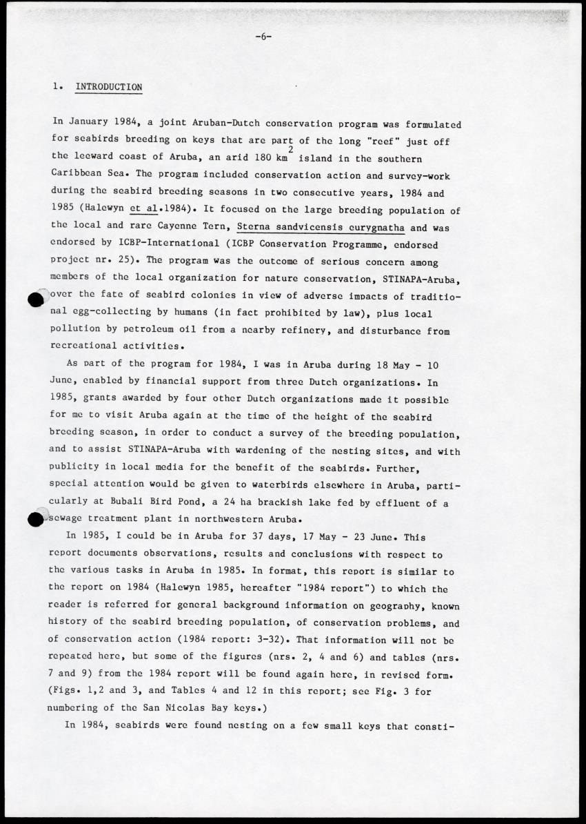 Marine birds of Aruba - Report on 1985 survey and conservation campaign - New Page