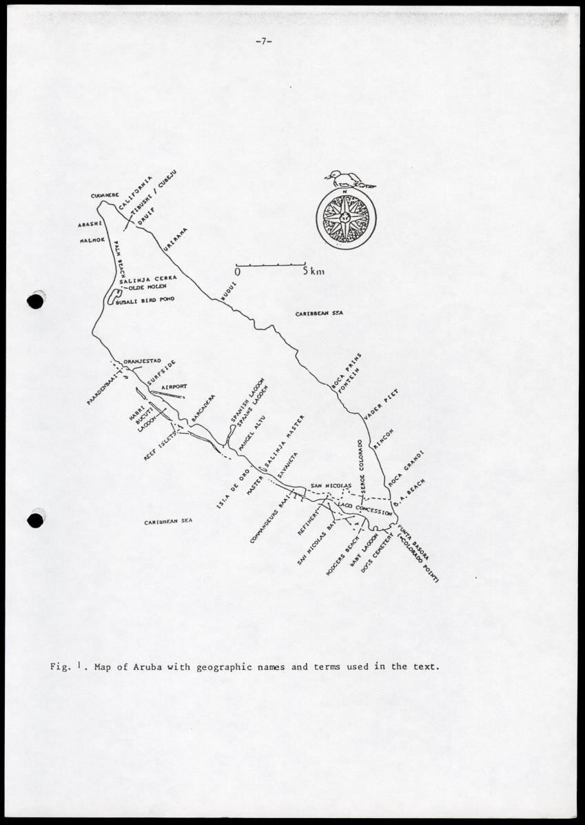 Marine birds of Aruba - Report on 1985 survey and conservation campaign - New Page
