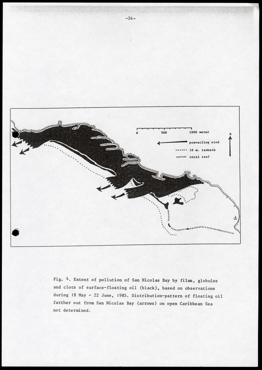 Marine birds of Aruba - Report on 1985 survey and conservation campaign - New Page
