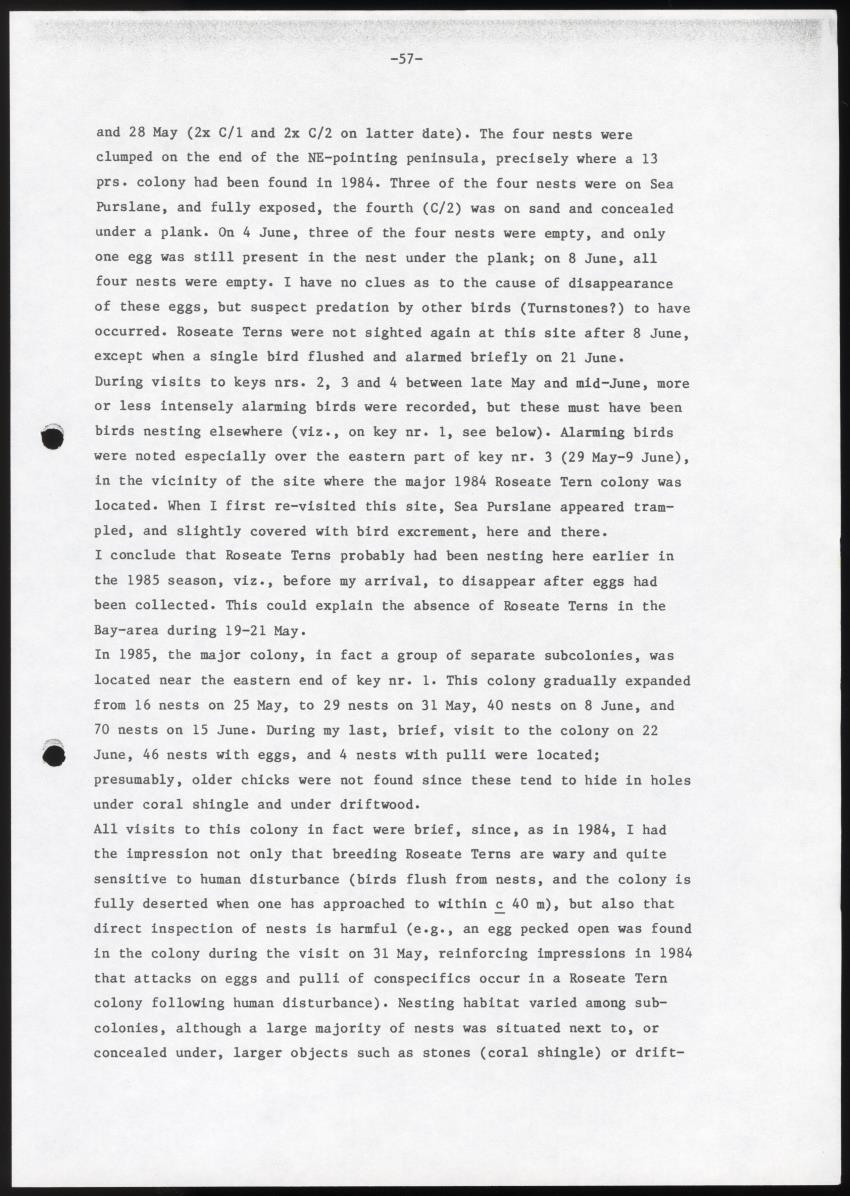 Marine birds of Aruba - Report on 1985 survey and conservation campaign - New Page