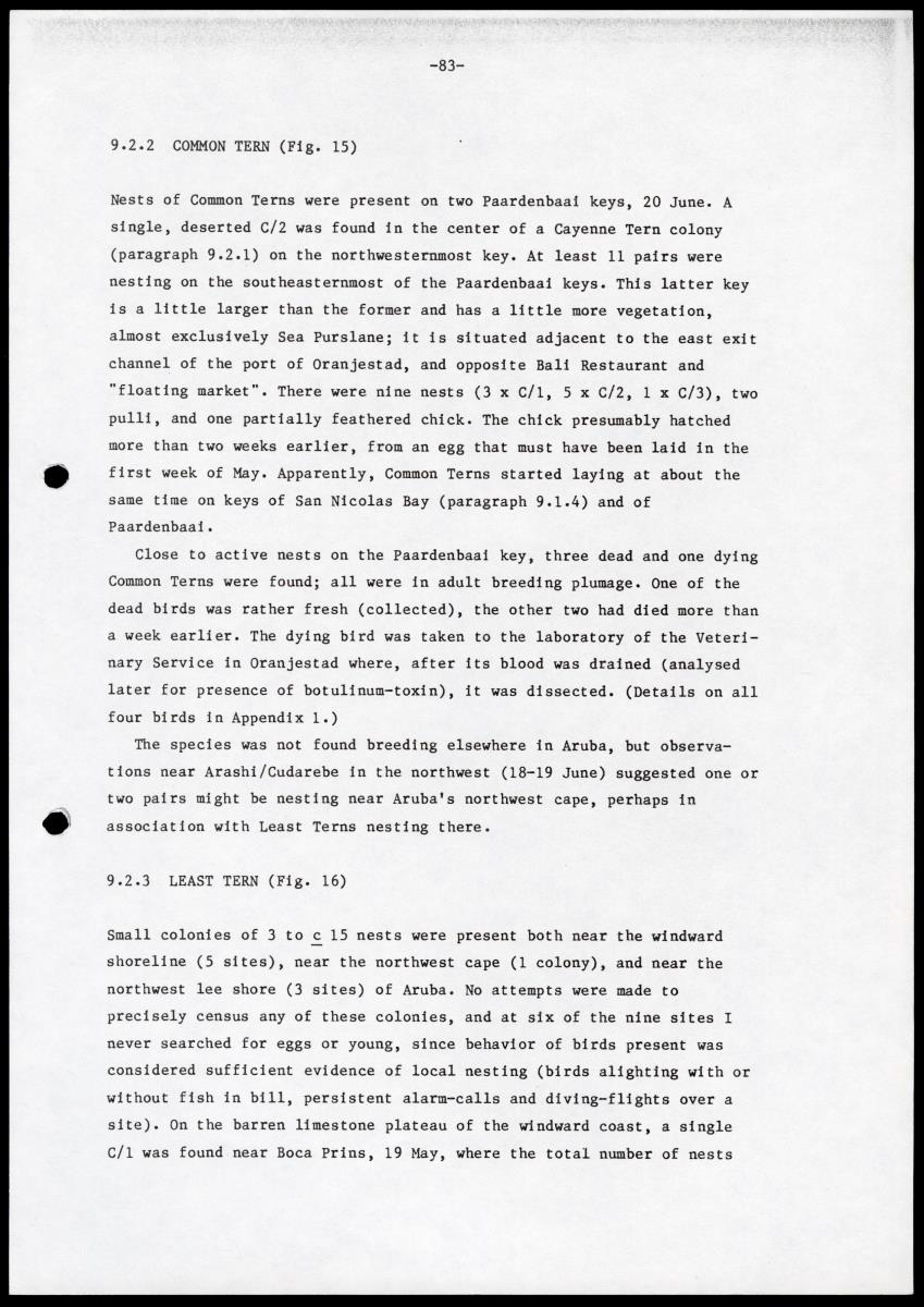 Marine birds of Aruba - Report on 1985 survey and conservation campaign - New Page