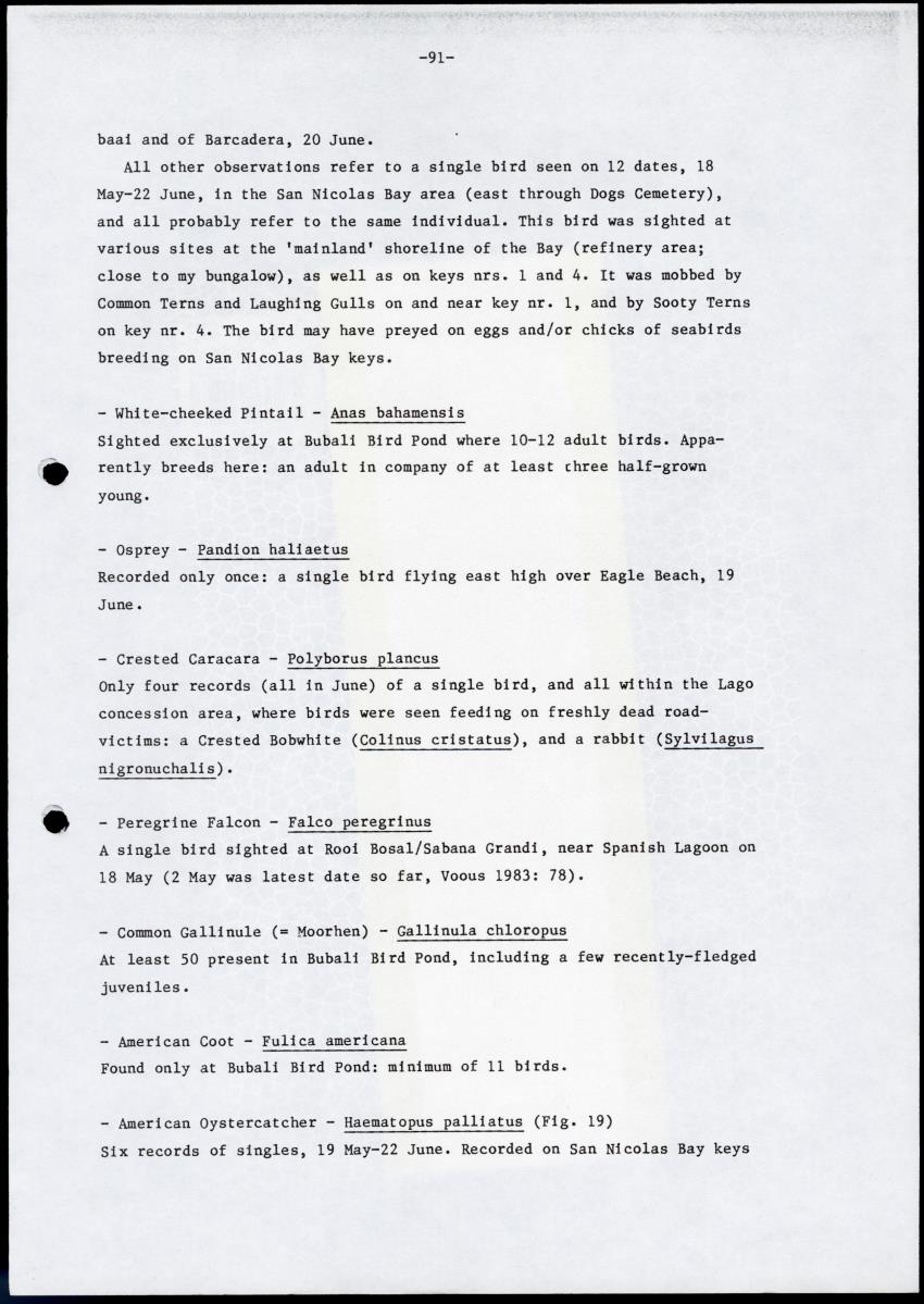 Marine birds of Aruba - Report on 1985 survey and conservation campaign - New Page