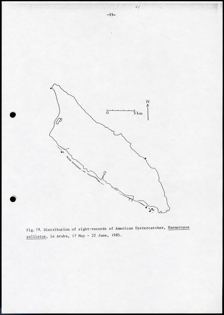 Marine birds of Aruba - Report on 1985 survey and conservation campaign - New Page