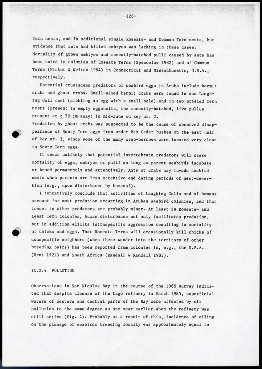 Marine birds of Aruba - Report on 1985 survey and conservation campaign - New Page