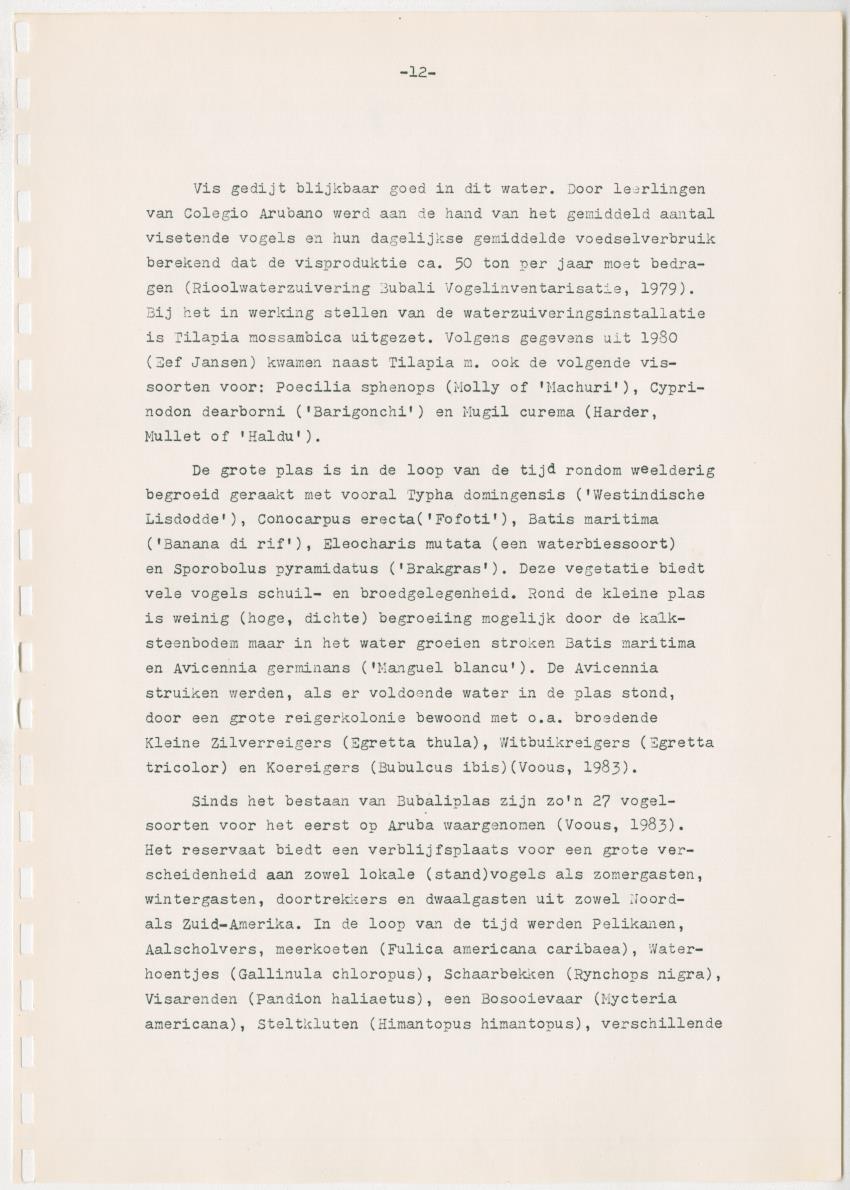 Het Bubali Vogelreservaat op Aruba - New Page