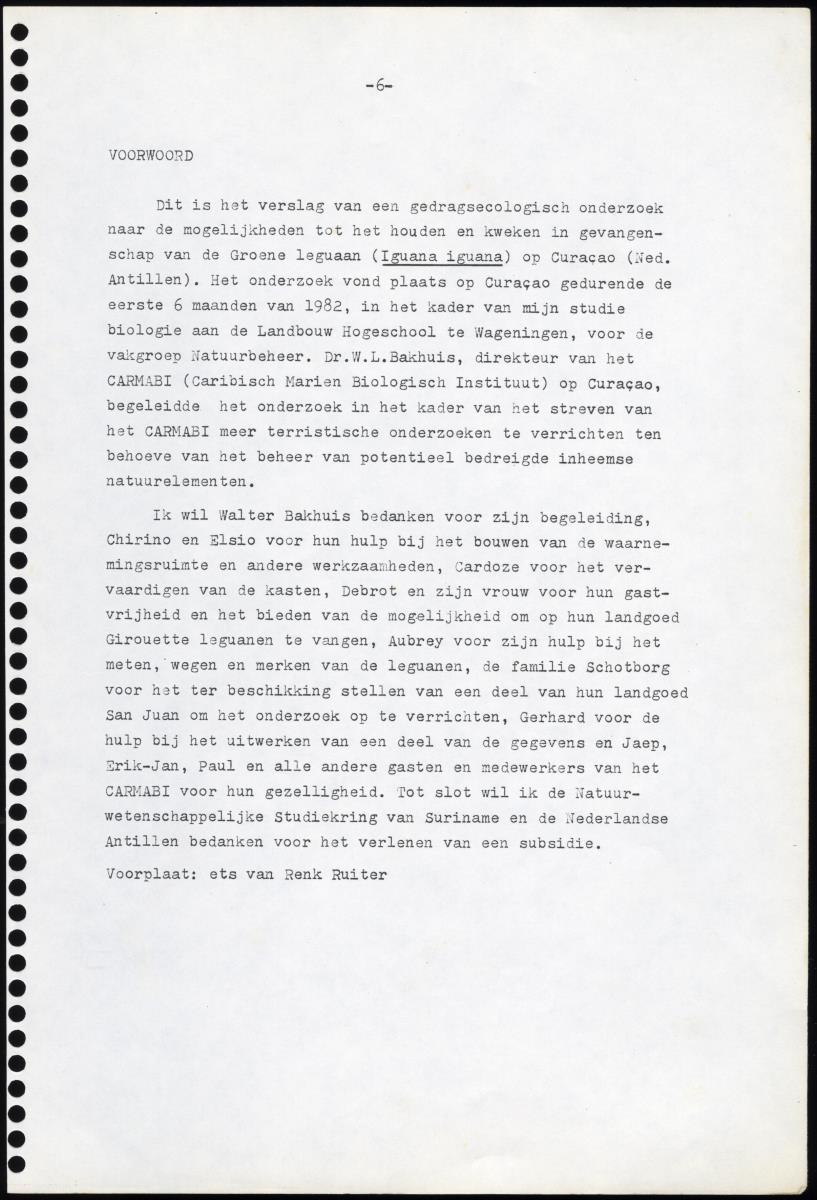 Z Iguana iguana - een gedragsecologisch onderzoek naar de mogelijkheden tot het houden en kweken in gevangenschap van de Groene Leguaan op Curacao (Nederlandse Antillen) - New Page