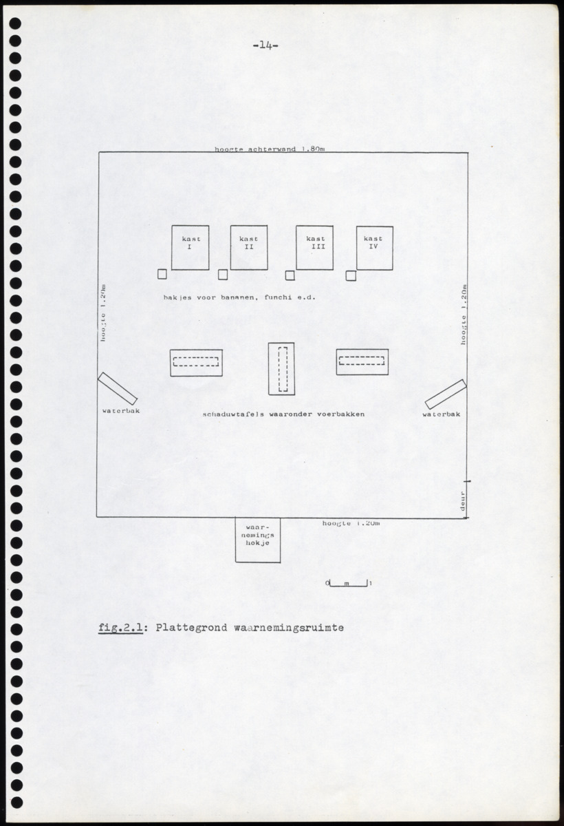 Z Iguana iguana - een gedragsecologisch onderzoek naar de mogelijkheden tot het houden en kweken in gevangenschap van de Groene Leguaan op Curacao (Nederlandse Antillen) - New Page