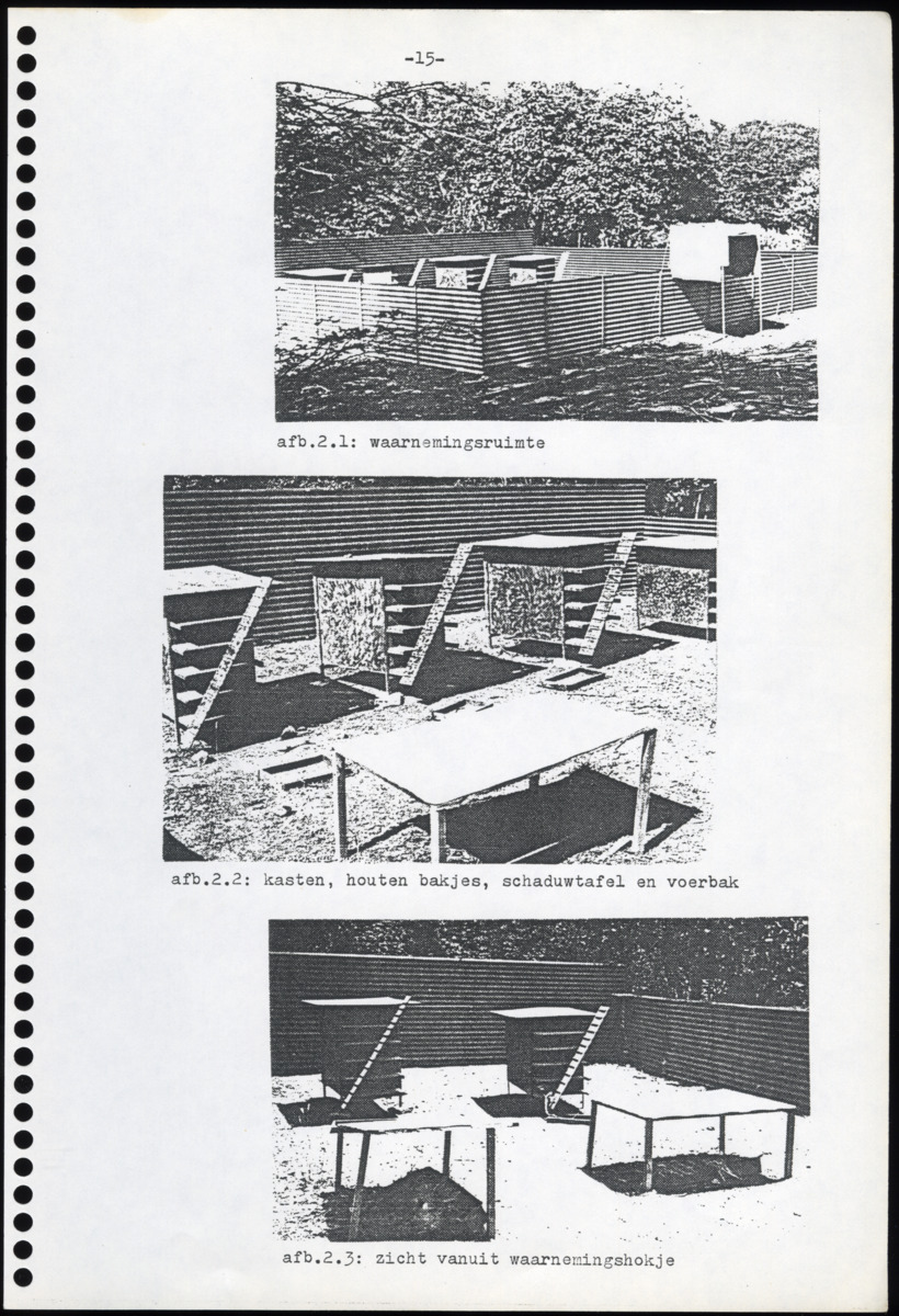 Z Iguana iguana - een gedragsecologisch onderzoek naar de mogelijkheden tot het houden en kweken in gevangenschap van de Groene Leguaan op Curacao (Nederlandse Antillen) - New Page