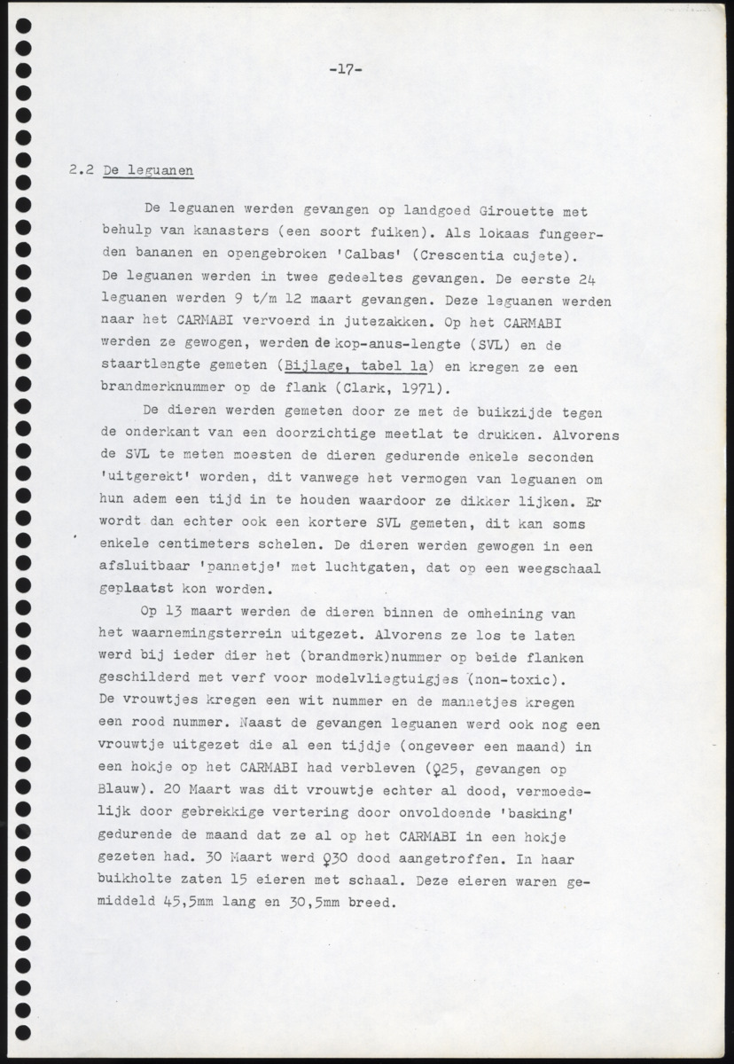 Z Iguana iguana - een gedragsecologisch onderzoek naar de mogelijkheden tot het houden en kweken in gevangenschap van de Groene Leguaan op Curacao (Nederlandse Antillen) - New Page
