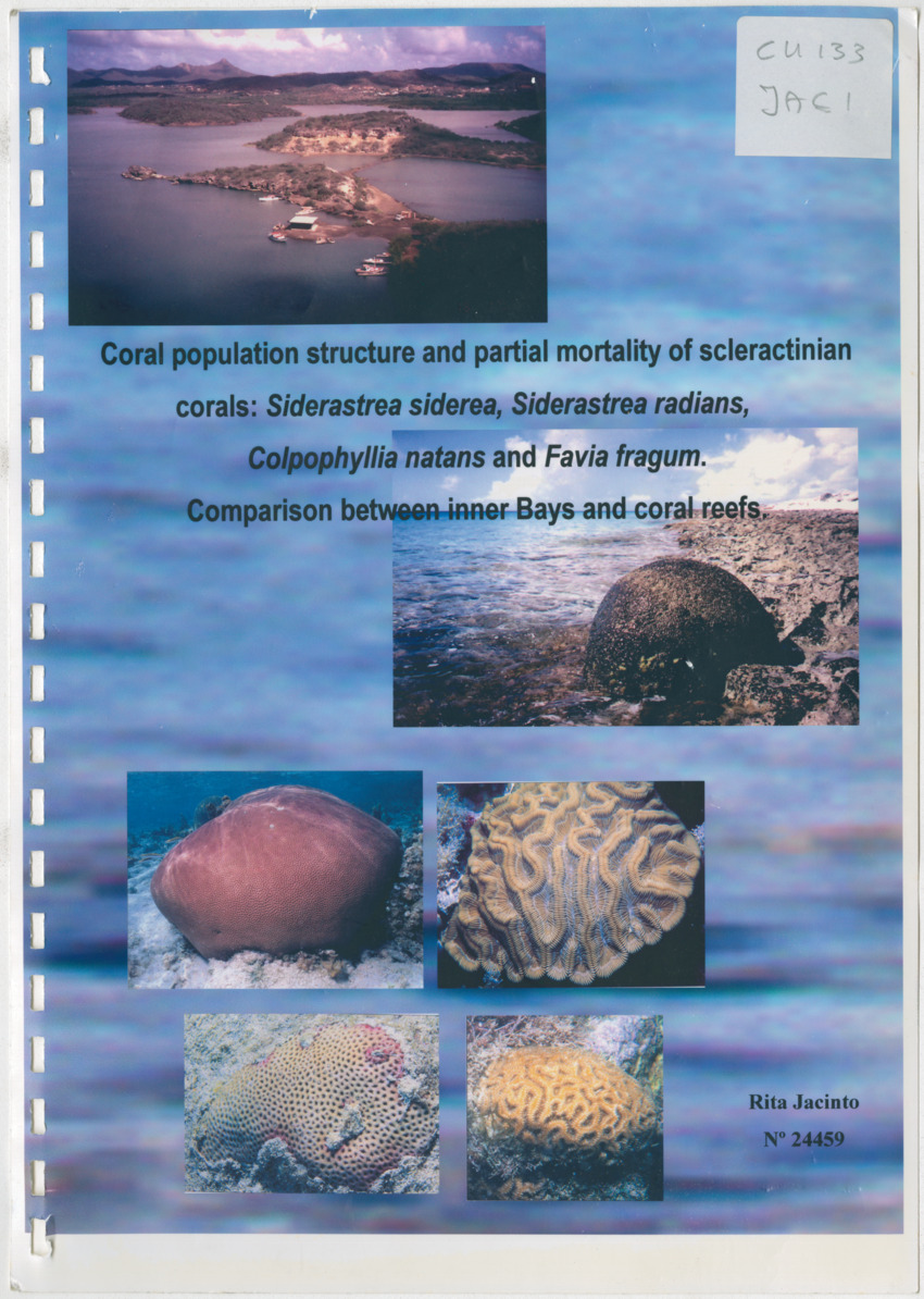 Coral population structure and partial mortality of scleractinian corals: Siderastrea sidera, Colpophyllia natans and Favia fragum. Comparison between inner bays and coral reefs - New Page