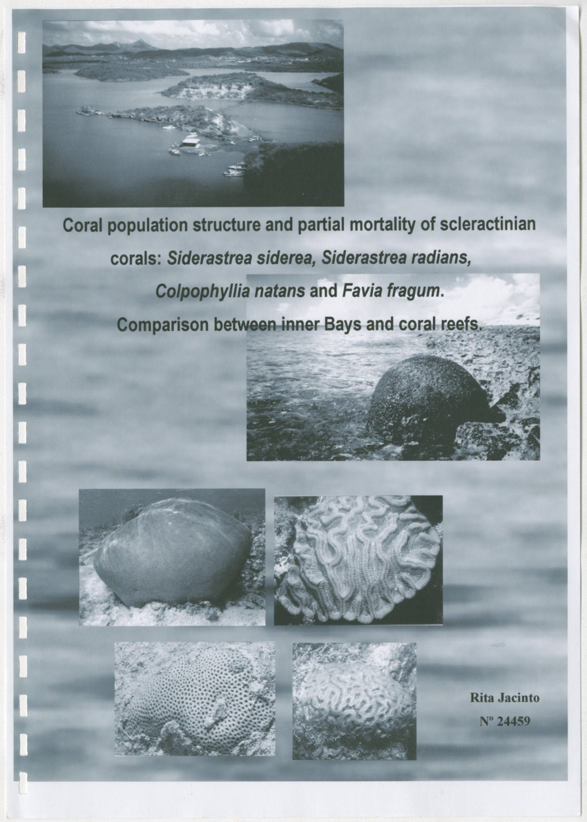 Coral population structure and partial mortality of scleractinian corals: Siderastrea sidera, Colpophyllia natans and Favia fragum. Comparison between inner bays and coral reefs - New Page