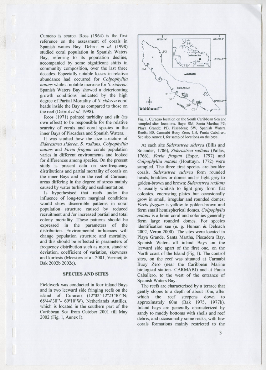 Coral population structure and partial mortality of scleractinian corals: Siderastrea sidera, Colpophyllia natans and Favia fragum. Comparison between inner bays and coral reefs - New Page