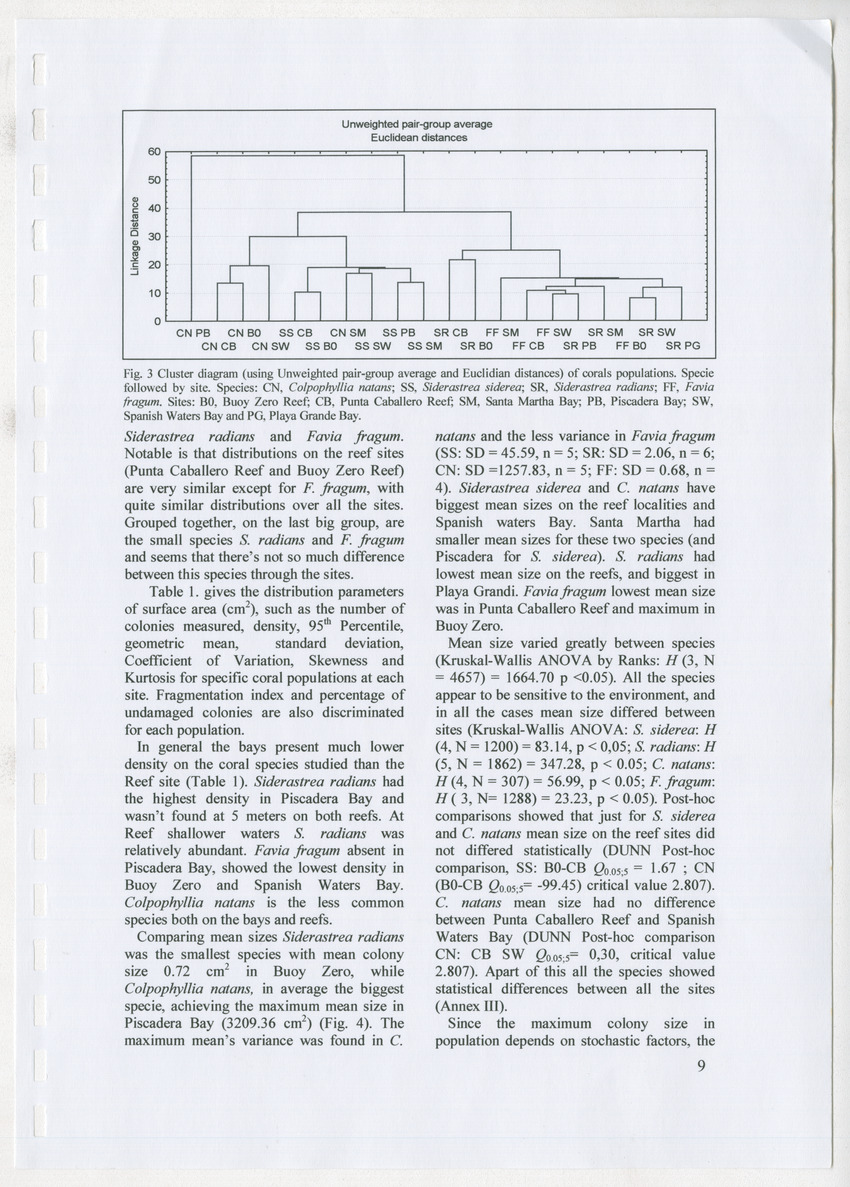 Coral population structure and partial mortality of scleractinian corals: Siderastrea sidera, Colpophyllia natans and Favia fragum. Comparison between inner bays and coral reefs - New Page