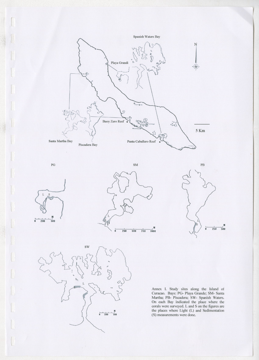 Coral population structure and partial mortality of scleractinian corals: Siderastrea sidera, Colpophyllia natans and Favia fragum. Comparison between inner bays and coral reefs - New Page