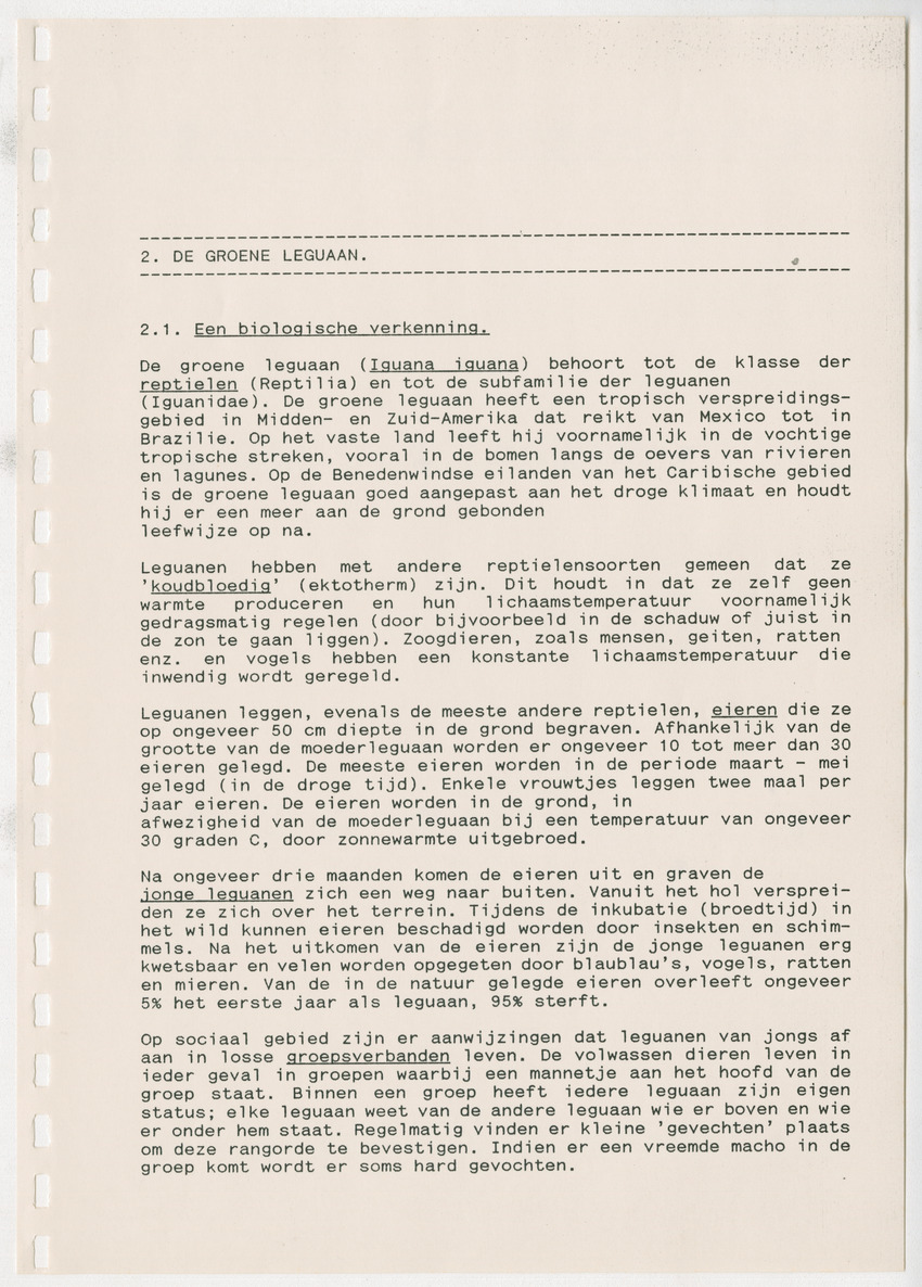 Het opzetten van een Leguanenkwekerij - New Page