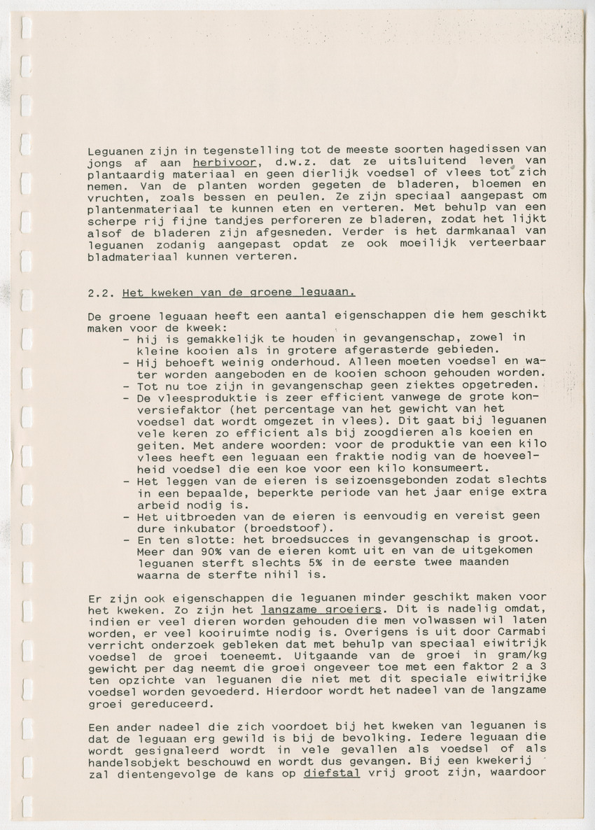 Het opzetten van een Leguanenkwekerij - New Page