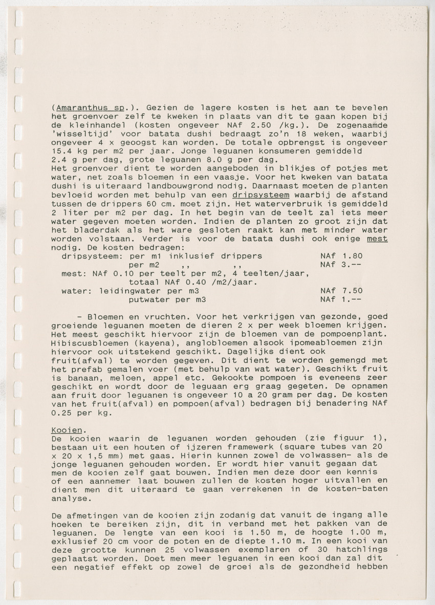 Het opzetten van een Leguanenkwekerij - New Page