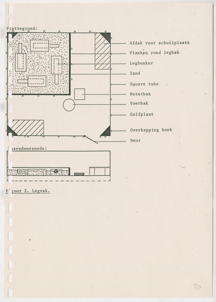 Het opzetten van een Leguanenkwekerij - New Page
