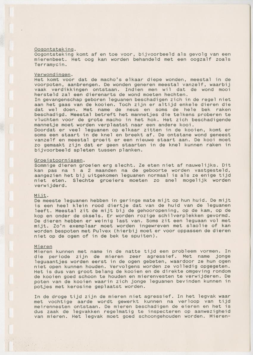 Het opzetten van een Leguanenkwekerij - New Page