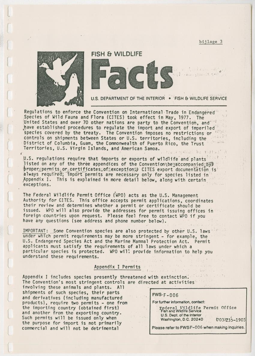 Het opzetten van een Leguanenkwekerij - New Page