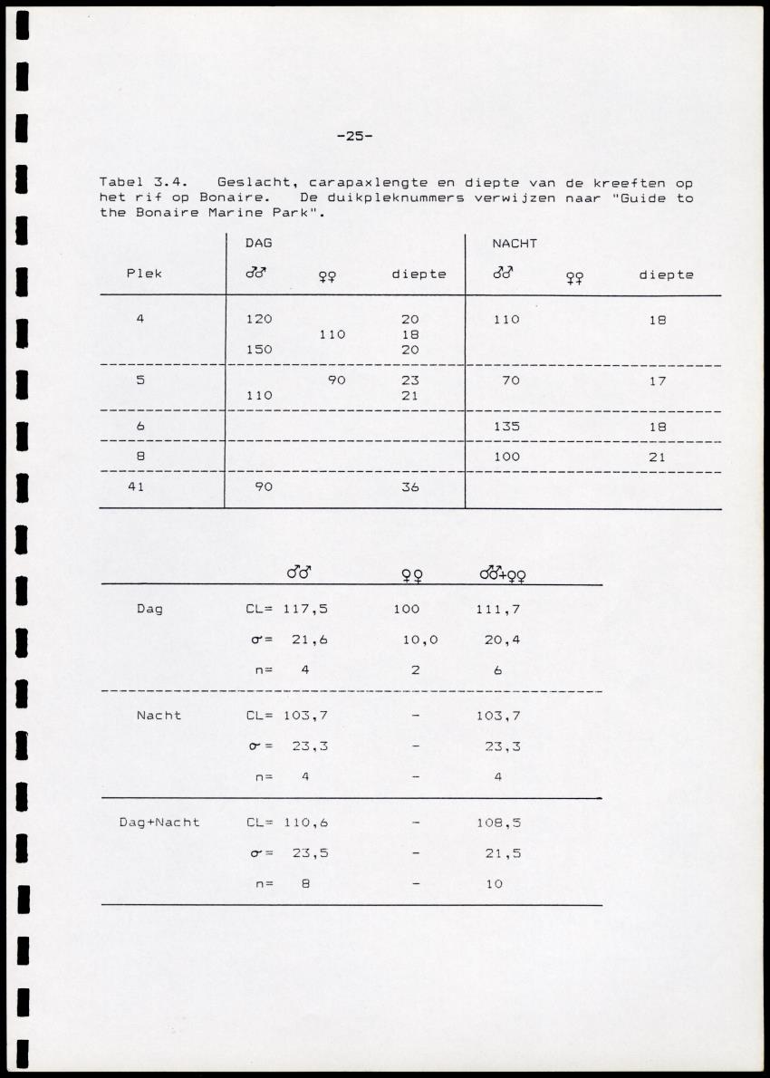 Onderzoek naar de verspreiding van Panulirus argus aan de zuidkust van Curacao - Page 25