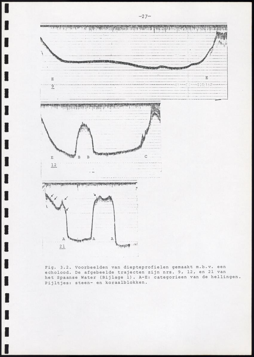 Onderzoek naar de verspreiding van Panulirus argus aan de zuidkust van Curacao - Page 27