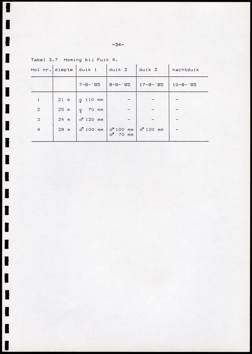 Onderzoek naar de verspreiding van Panulirus argus aan de zuidkust van Curacao - Page 34