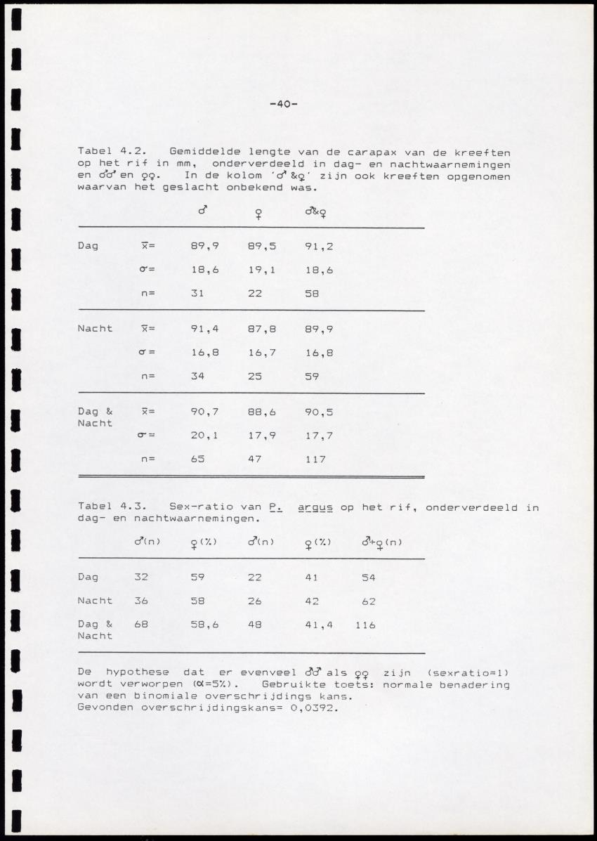 Onderzoek naar de verspreiding van Panulirus argus aan de zuidkust van Curacao - Page 40