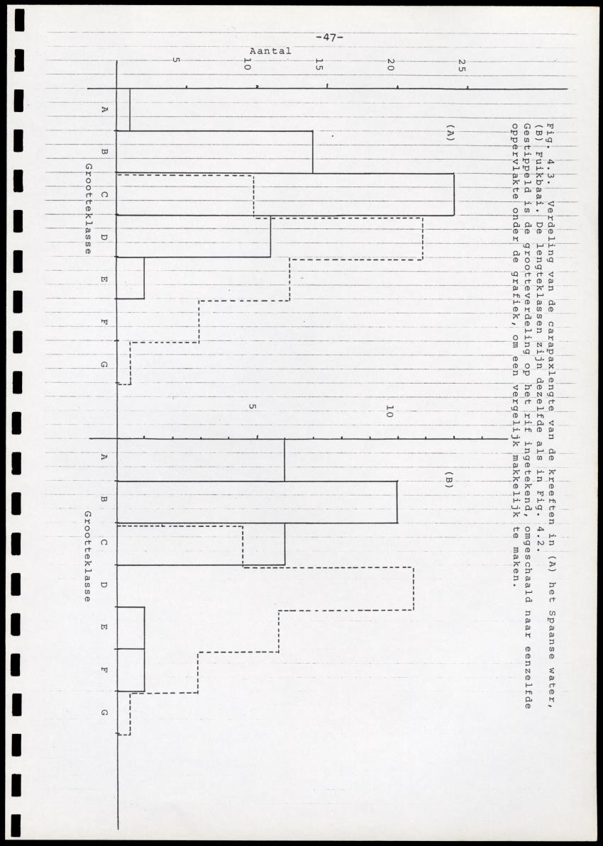 Onderzoek naar de verspreiding van Panulirus argus aan de zuidkust van Curacao - Page 47