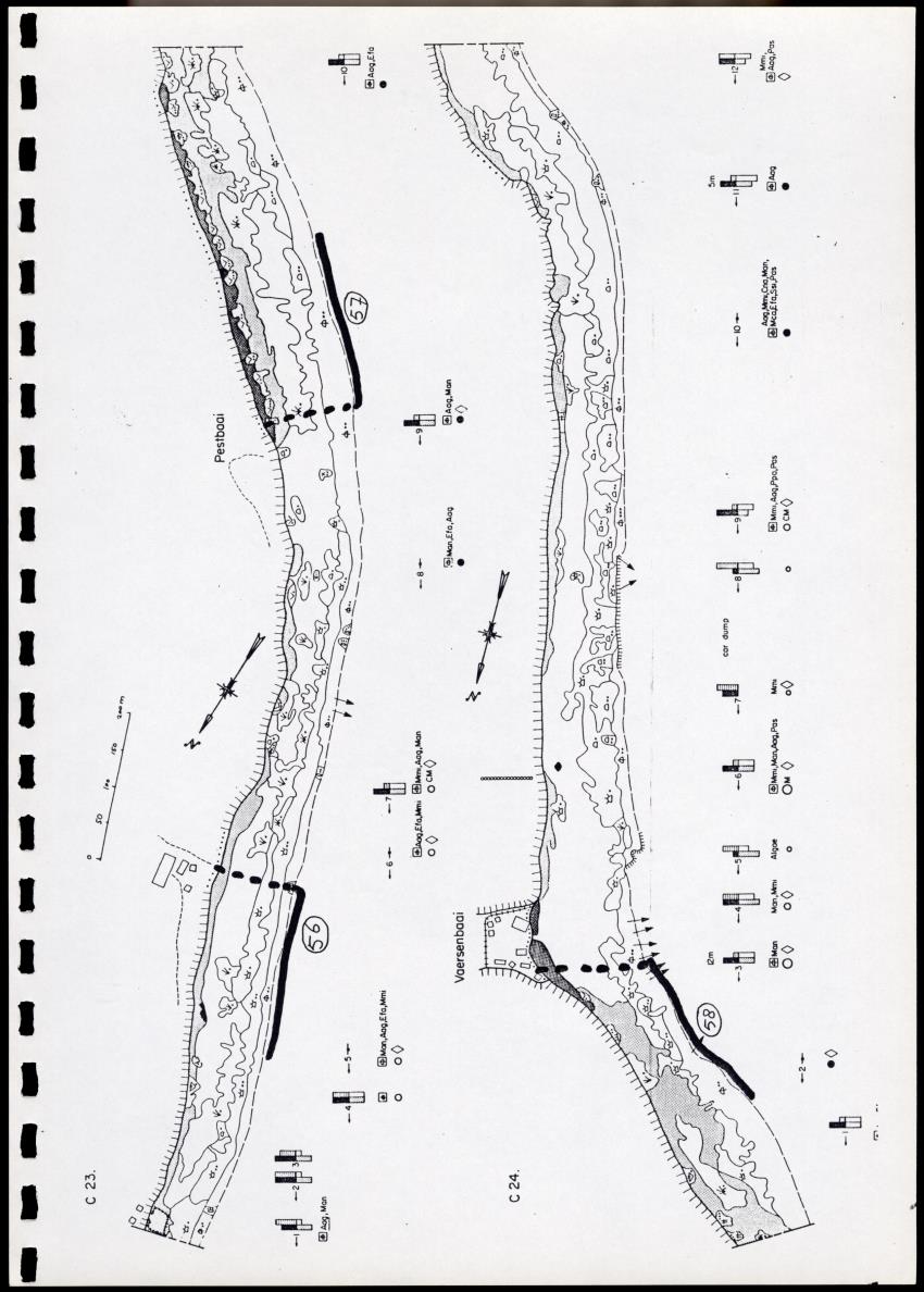 Onderzoek naar de verspreiding van Panulirus argus aan de zuidkust van Curacao - Page 96