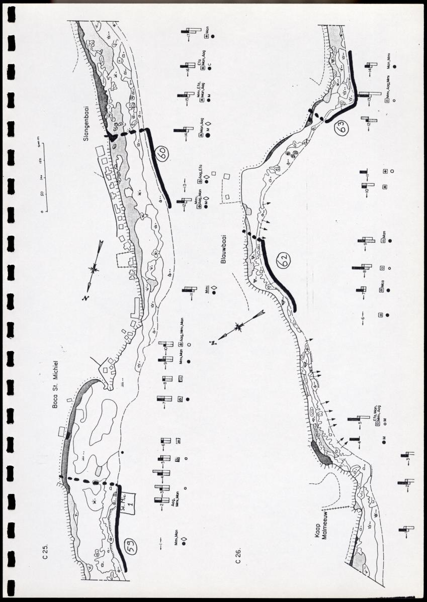 Onderzoek naar de verspreiding van Panulirus argus aan de zuidkust van Curacao - Page 97