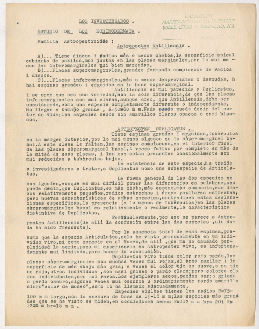 z Estudio de los Echinodermata y Moluscos - New Page