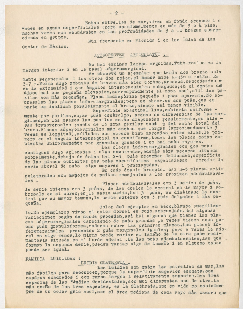 z Estudio de los Echinodermata y Moluscos - New Page