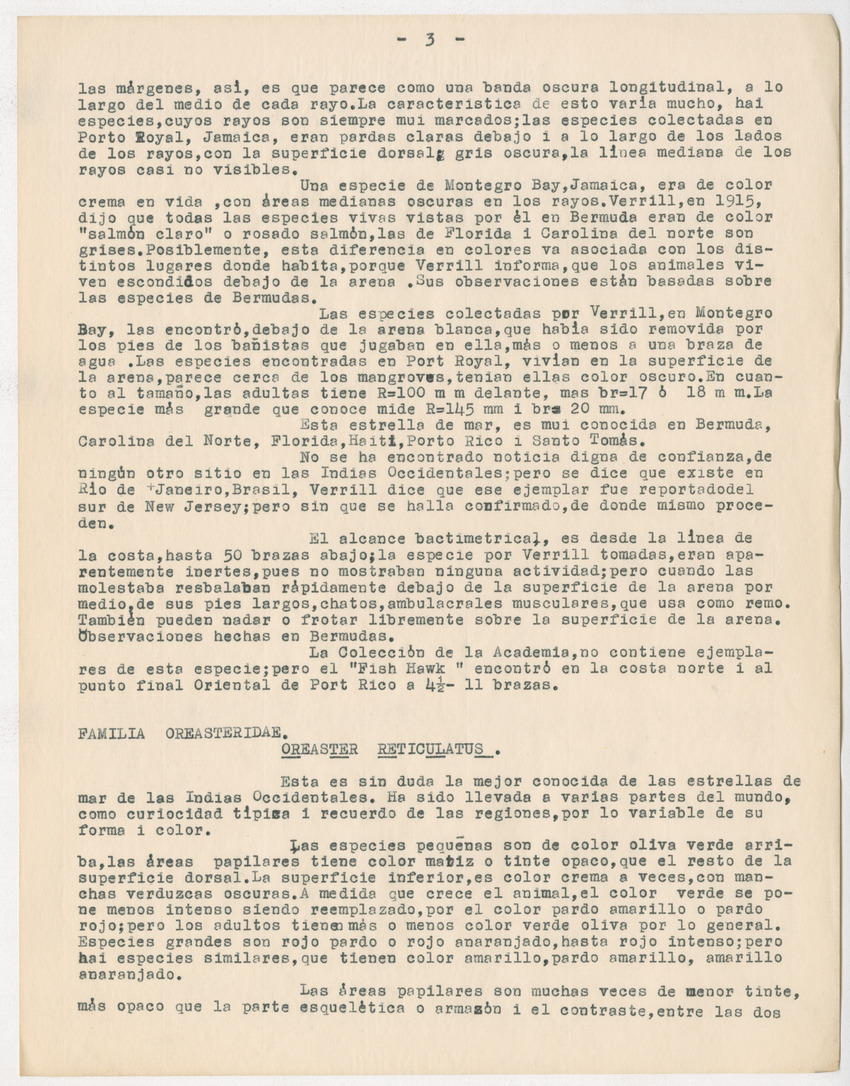 z Estudio de los Echinodermata y Moluscos - New Page