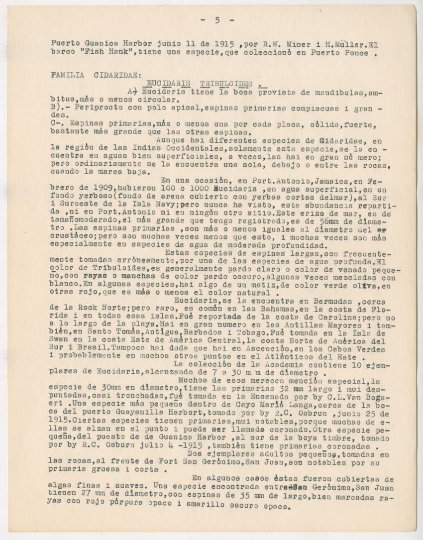 z Estudio de los Echinodermata y Moluscos - New Page