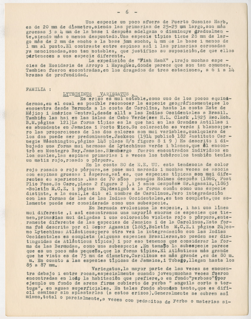 z Estudio de los Echinodermata y Moluscos - New Page